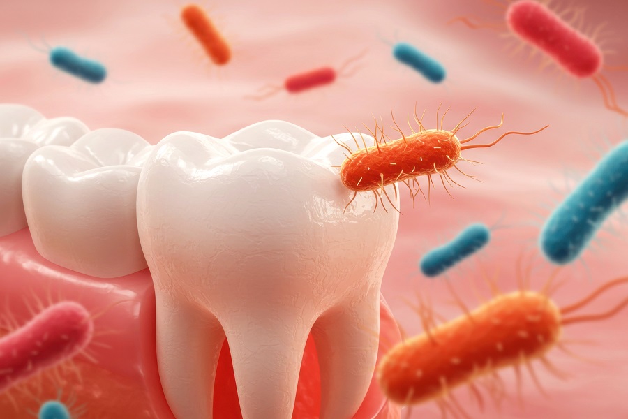 Oral Bacteria