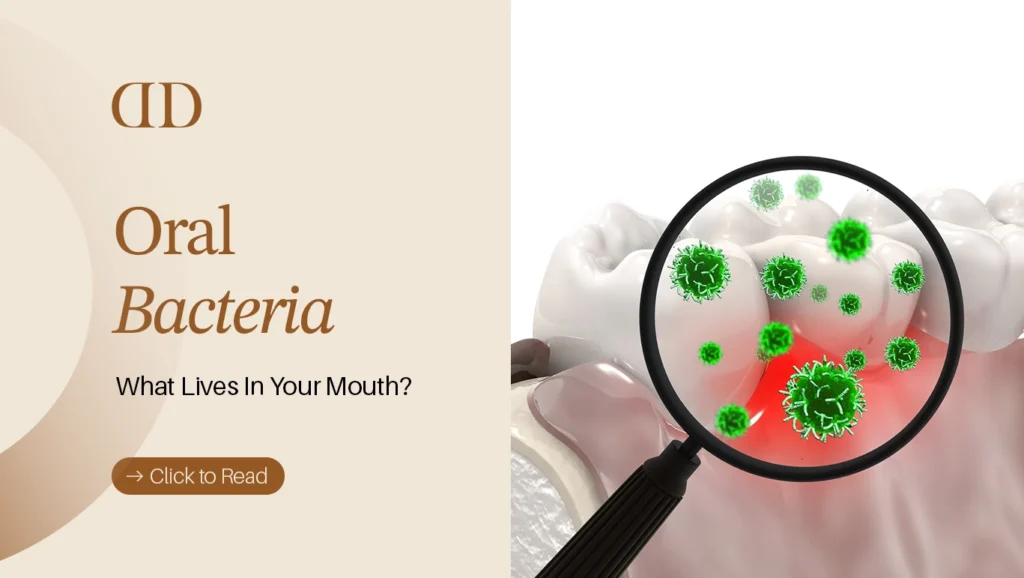 Oral Bacteria